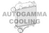  107555 Intercooler, charger